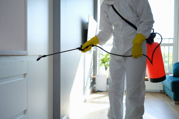 Best Home Mold Removal  in Lakeland, GA